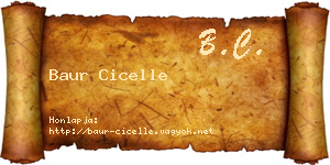 Baur Cicelle névjegykártya